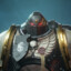 Tichondreus