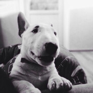 †ẶvŦẶŖĩŦĒŦ†