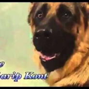 GARİP KONT