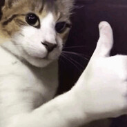 i'm gonna buy this training