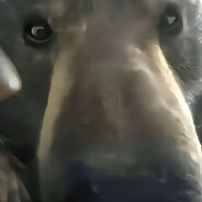 周董的半岛铁盒