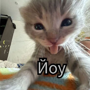 синхрофазотрон