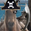 The Swashbuckler