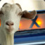 Goat Taxi