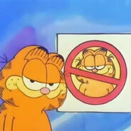 CAT WANTED
