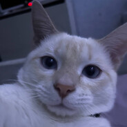 Reforde's avatar