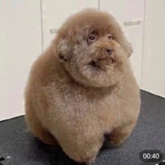 😈слюнявчик😈摇头