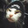 Jove's Avatar