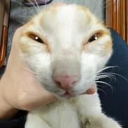 ❥𝐑𝐢𝐜𝐤𝐲★