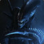 Inquisitor =M=