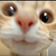 一个弹夹可以命中三次的笨