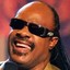 Stevie Wonder