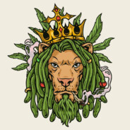 Lion #MostHated