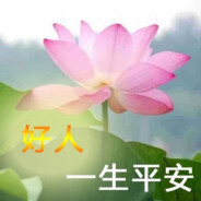 阿门阿前YI颗葡萄树