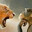 TigerLunch
