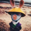 香菱  (tiktok/@sqlaim.peek)