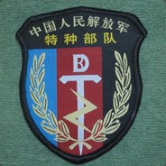 中国陆军特种部队