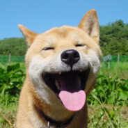 你好，乐正此枫