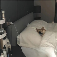 非常规大师  Sleepy