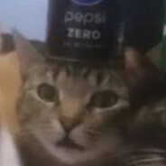 Аватар Zapoe