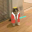 Chimpbot