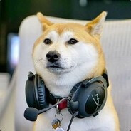 Gaming Dog