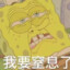 小海绵