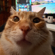 Kocaadame's avatar