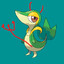 EVILSnivyMcAnus