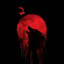 Noctix