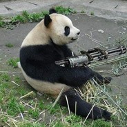 DECENTFELLA