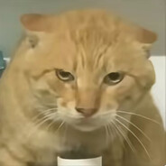 偷偷塞进去