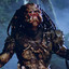 predator