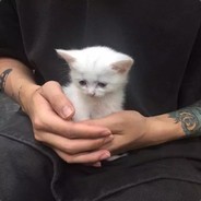 Big Avatar
