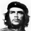 down guevara