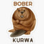 Bober Kurwa