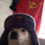 kk, o Cãomunista ☭