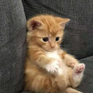 一到残局就紧张先生