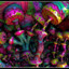 MagicMushrooms's avatar