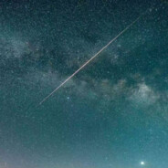 CATXYLS_星夜流逝只为你