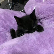 你落泪时我的世界开始下雨