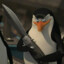 skipper
