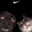 pusha0812