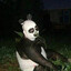 Panda do Tinder - O RETORNO