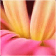 快把和平星交出来