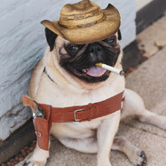 CowboyPugg