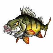 Mr.Perch