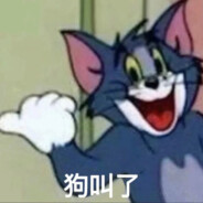 碧桂园五星上将老猫