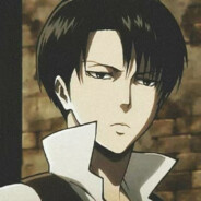 Levi_Rivaille