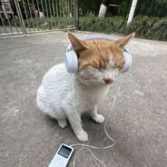 Purr1k avatar